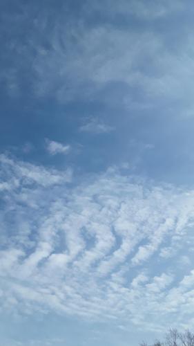 ebb50e12-60fe-4bc8-ba17-70dd69776ebb