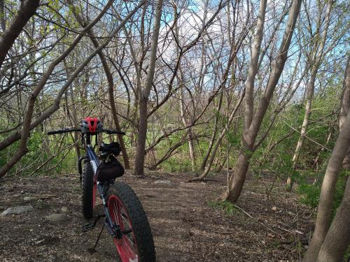 c16d5764-4d77-425d-b92d-9685d02adcfd