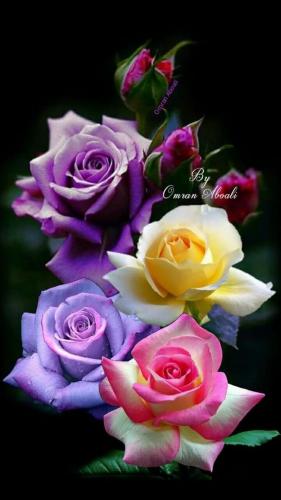 09:20:02 GMT-0500 (CDT)