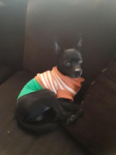 12:21:40 GMT-0400 (EDT)