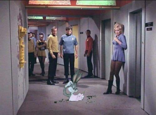 efc5629d-971e-4ce0-acad-315c1fe939de