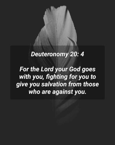 4764db7c-44fe-446d-800a-55c8deb339ba