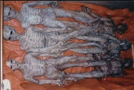 Screen Shot 2021-07-27 at 12.54.55 PM