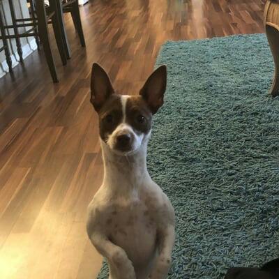 97d6aab4-9cee-4fc8-b66c-cfc0ab69b586