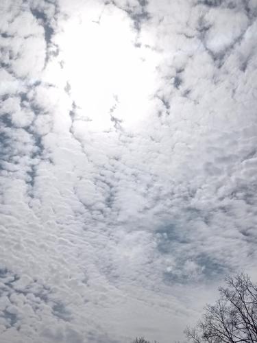 7b74b1d3-57ba-4185-baf3-d8bc1ff1366c