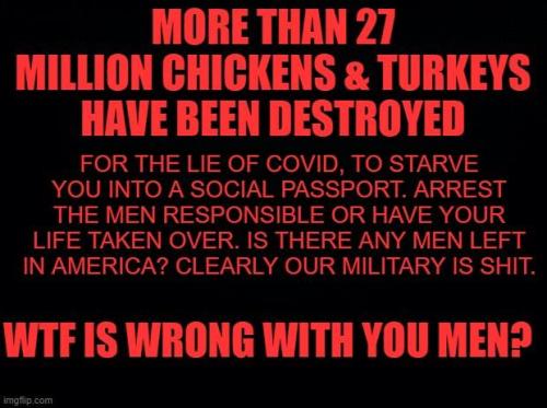 48eb24c9-3716-45e2-8633-4fc576e54d53