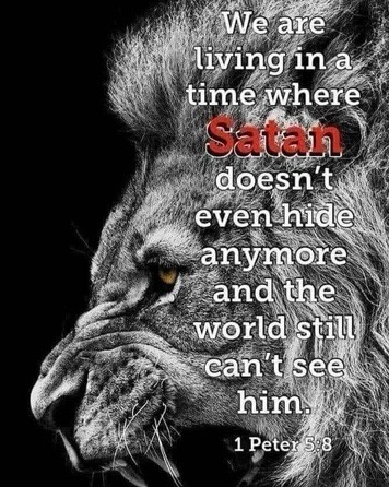 B0C7EB36-E2BC-4D68-AA7E-92E3102E06DF