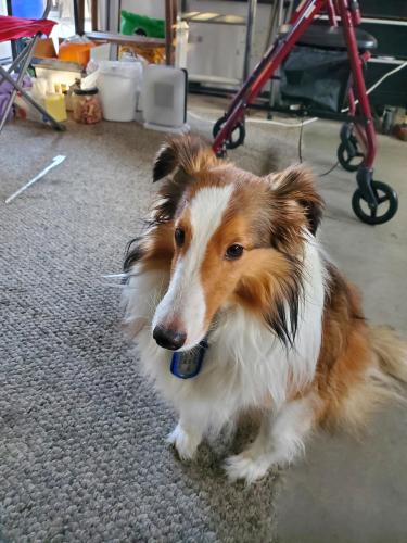 b63b907e-efb4-42e4-93f1-199e7cb65e23