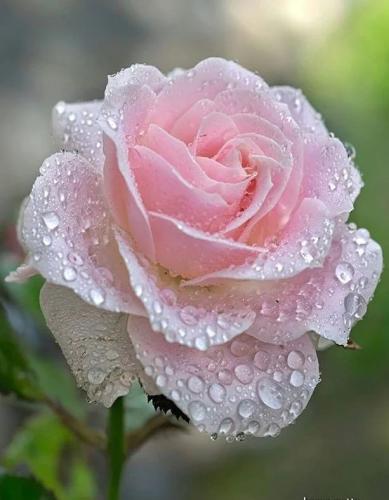 22:10:03 GMT-0500 (CDT)