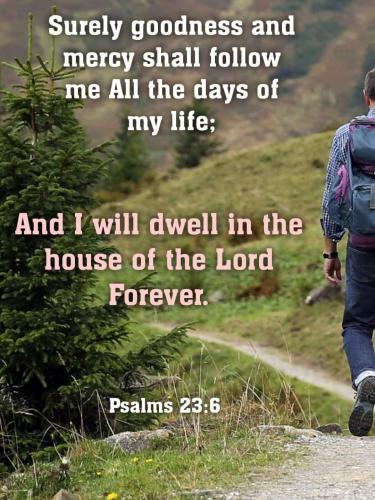 4b8361d0-231f-477d-9d84-898161357183