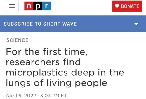 278874537_137225025546170_6796908457495165209_n