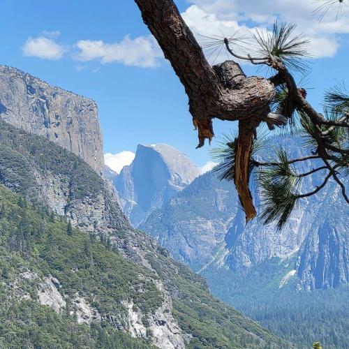 ca5d25f1-4a2d-40b9-8820-0800d07934eb