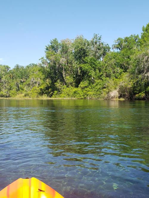 dbd53133-9819-46ae-8359-46ea31fc4c79