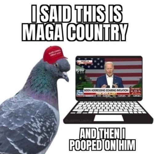 c0c480eb-a849-40cb-b6da-a4390fe60fa3