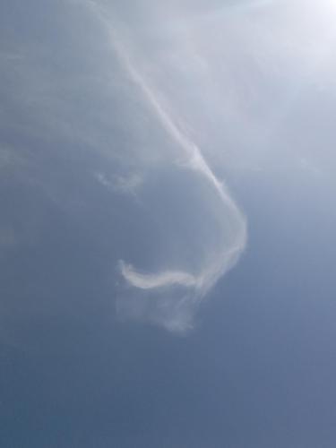 79c3fee8-0bc0-48a7-993a-8b7f37340761