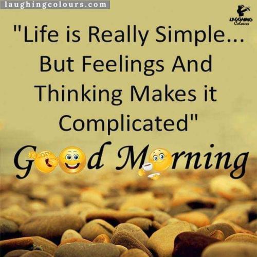 40b3e0fb-ff43-45f2-a5d4-d7f86bd170be