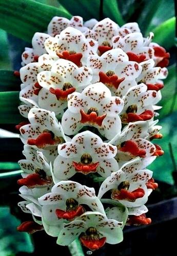 10:09:49 GMT-0500 (CDT)