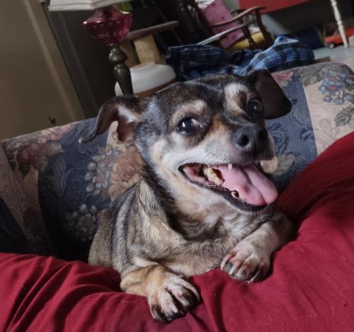 095238e8-213b-4820-9f5e-81e6db7fdbe7