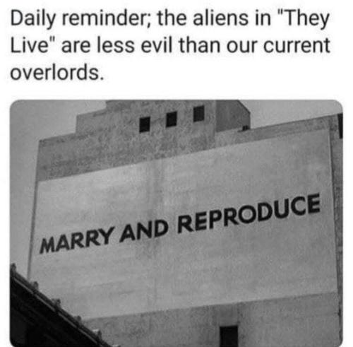3a43d8f02e9a62d3