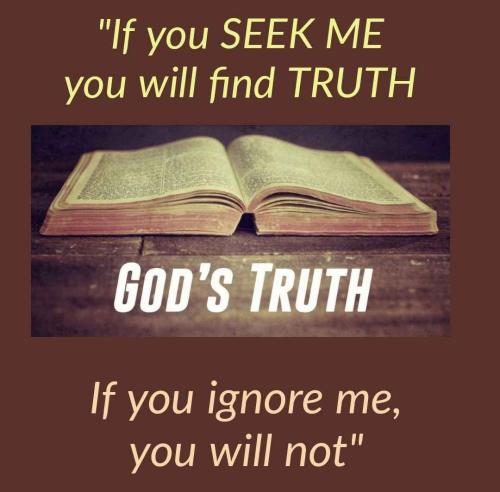 31556c18-c06b-4d19-975f-a81d6f9c5a94