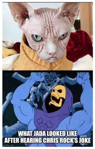 e02d321c-10d2-49b4-846f-56b68c2f4ae1