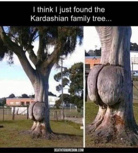 279589484_1414562705652262_6042382341946817403_n