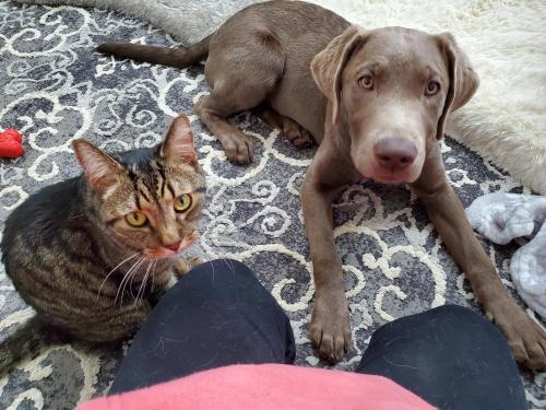 bc2300f2-5a89-4e31-957b-e8f34a986fab