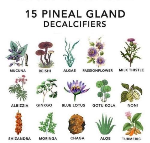 351a6019-8eaf-40c4-ae10-dc8a755ee29a