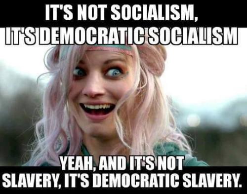 Democratic_Socialism_Bullshit