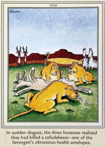 tumblr_b71bf9e2fbecd1296af70a5065681ddc_cd4cb5ac_540