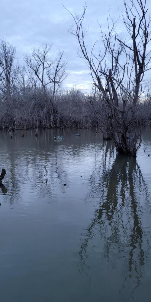 daf1e349-ddcd-483f-ace0-010a732ab192