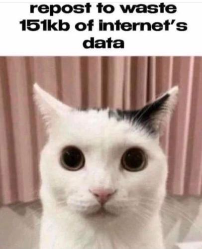 57E23246-38A9-4BAB-B1CE-CB23E7FA6357