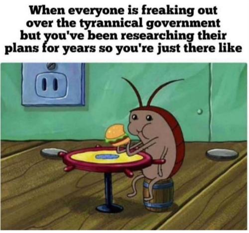 photo_2022-04-16_22-43-10