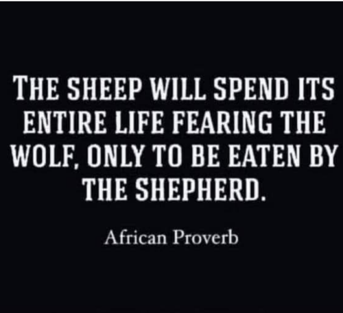 Screenshot_2022-04-22-21-45-33_kindlephoto-80997898