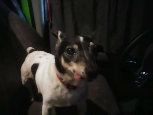 23549d74-d9f3-42a6-893f-c89b4826a895