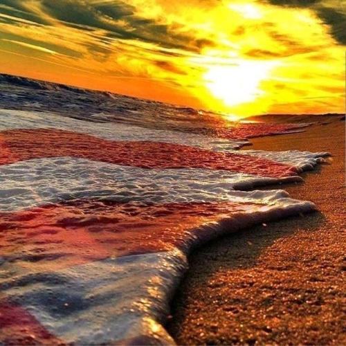 7264d679-4eb9-4375-b951-6e0a9b9685bc