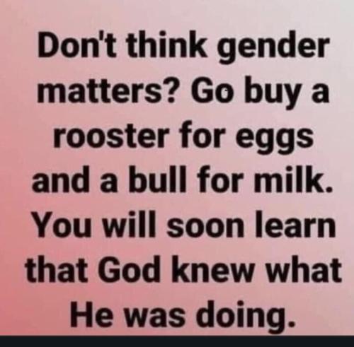 f658deed-6063-443b-aa75-26634bf3e670