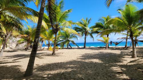 f51f0e7c-96bd-492e-86b0-779f4cfd5d7b