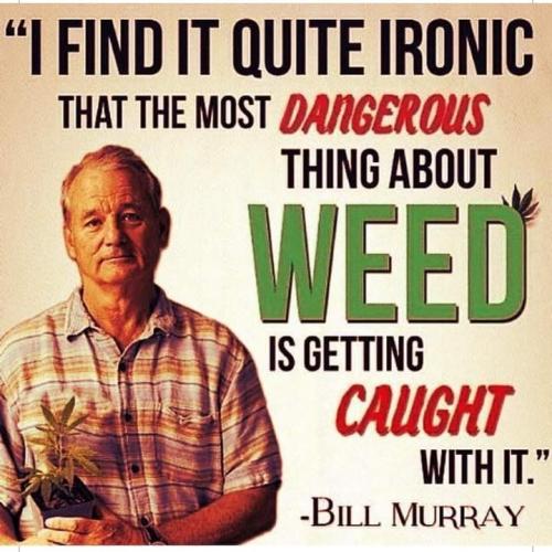 3d59a1e0-682c-4a7c-85df-7f02161b0390