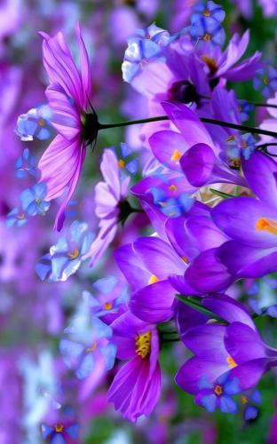 tumblr_2678b3a859d869c3bde26655c65c928e_46fe72d8_640