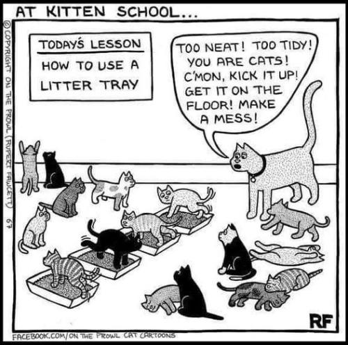 278071240_5535434379819274_7869464975616308916_n