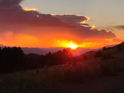 9842bfa0-5226-4ff9-80f4-883fd27d6923