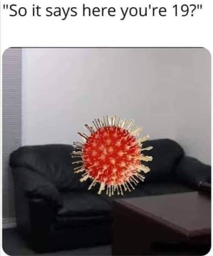 91711091_540810973481653_6079617677406502912_n