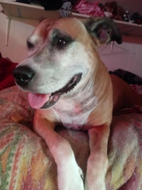 540a3a56-887f-4261-9d4f-caf4c6212d7c