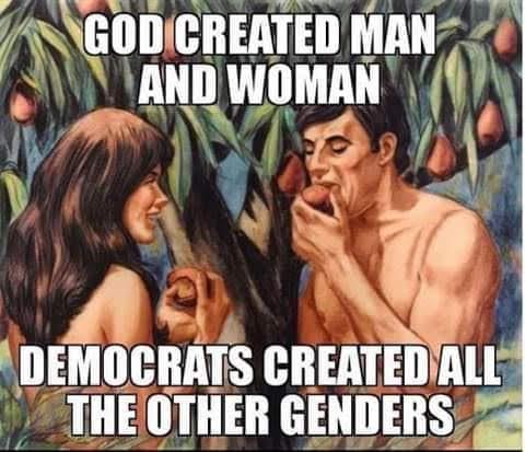 9edad81c-c407-47f2-9ed8-9517faba6737