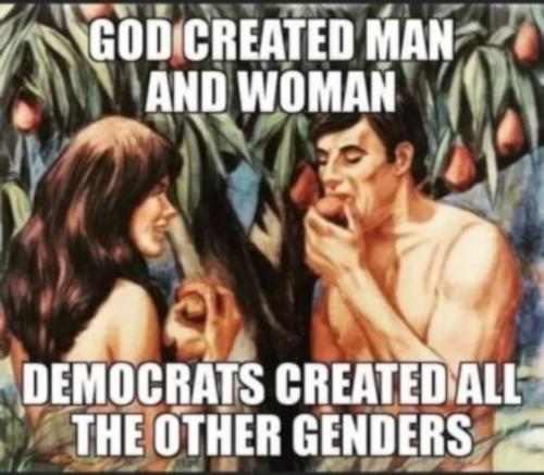 fa93d652-8309-4cbc-a85d-2d86bd70a608