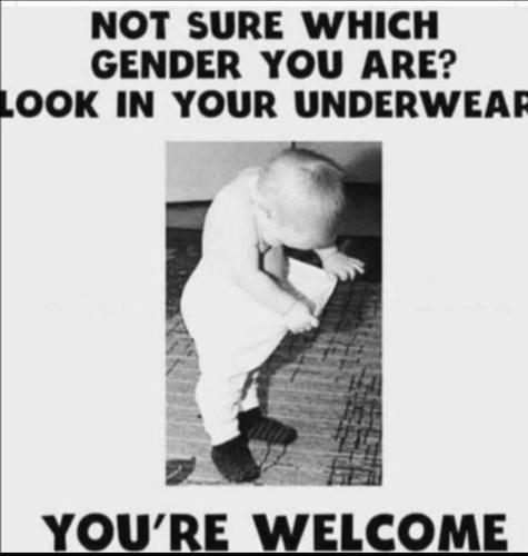 278434876_353654856806434_7094643455123338040_n