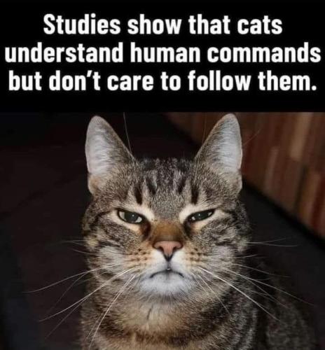 99e229b3-1d75-4783-a3f8-bf7aee69e2af