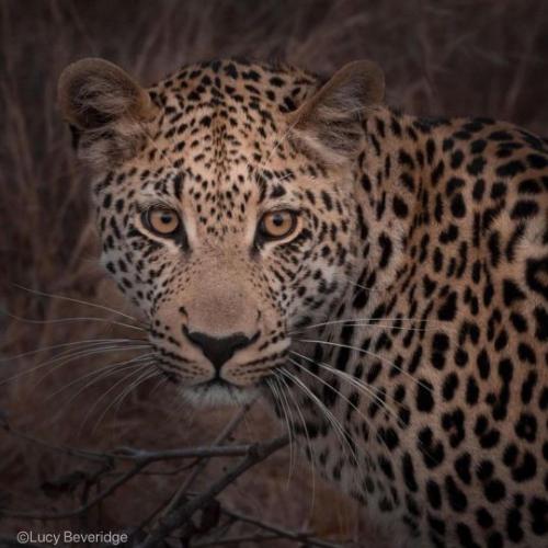 tumblr_e29bb731d95ab9c4f27503f304d5fc01_b5e0b92b_540