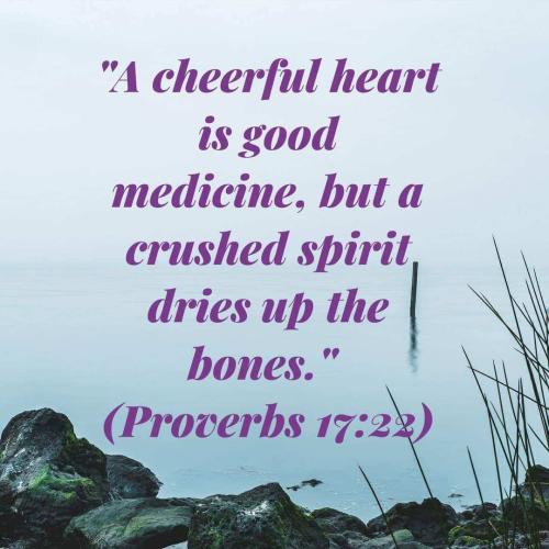 7b6d0f73-265e-42b5-bee5-e712fc3a85e5